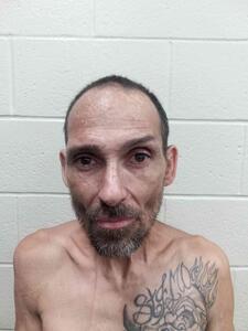 Mugshot of Larison, Shawn Michael