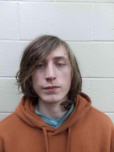 Mugshot of Boswell, Drevin Matthew