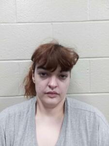 Mugshot of Wilson, Hailee Marie